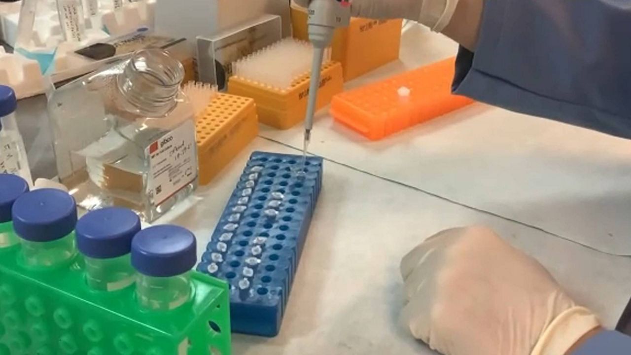 [IMAGE] Hernando remains identified after three decades