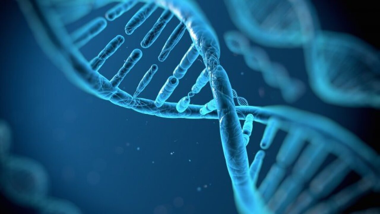 [IMAGE] Genetic Genealogy: The Forensic Breakthrough That Caught a Killer After 30 Years (The case of Jay Cook and Tanya Van Cuylenborg)