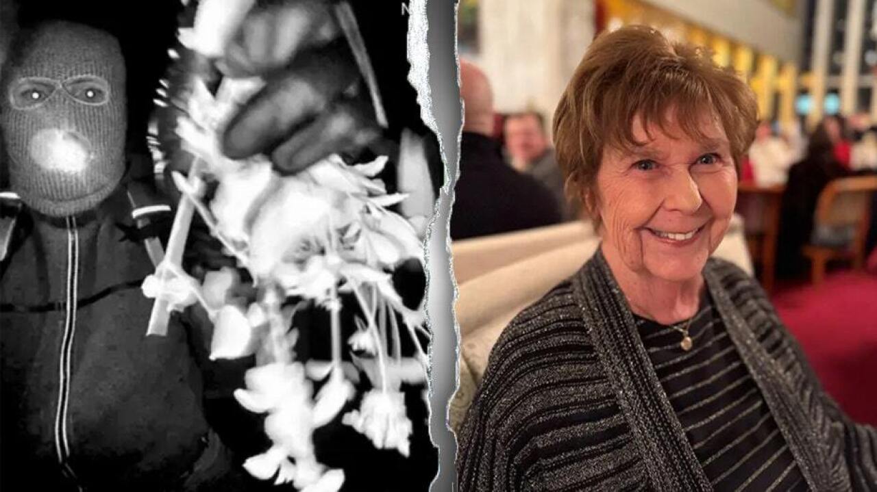 [IMAGE] FBI receives DNA data from hair sample in Nancy Guthrie case: sources
